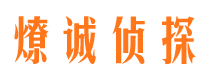 东西湖市侦探调查公司